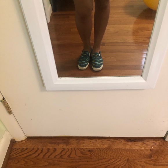 Blue shark slip on sneakers - Picture 2 of 8